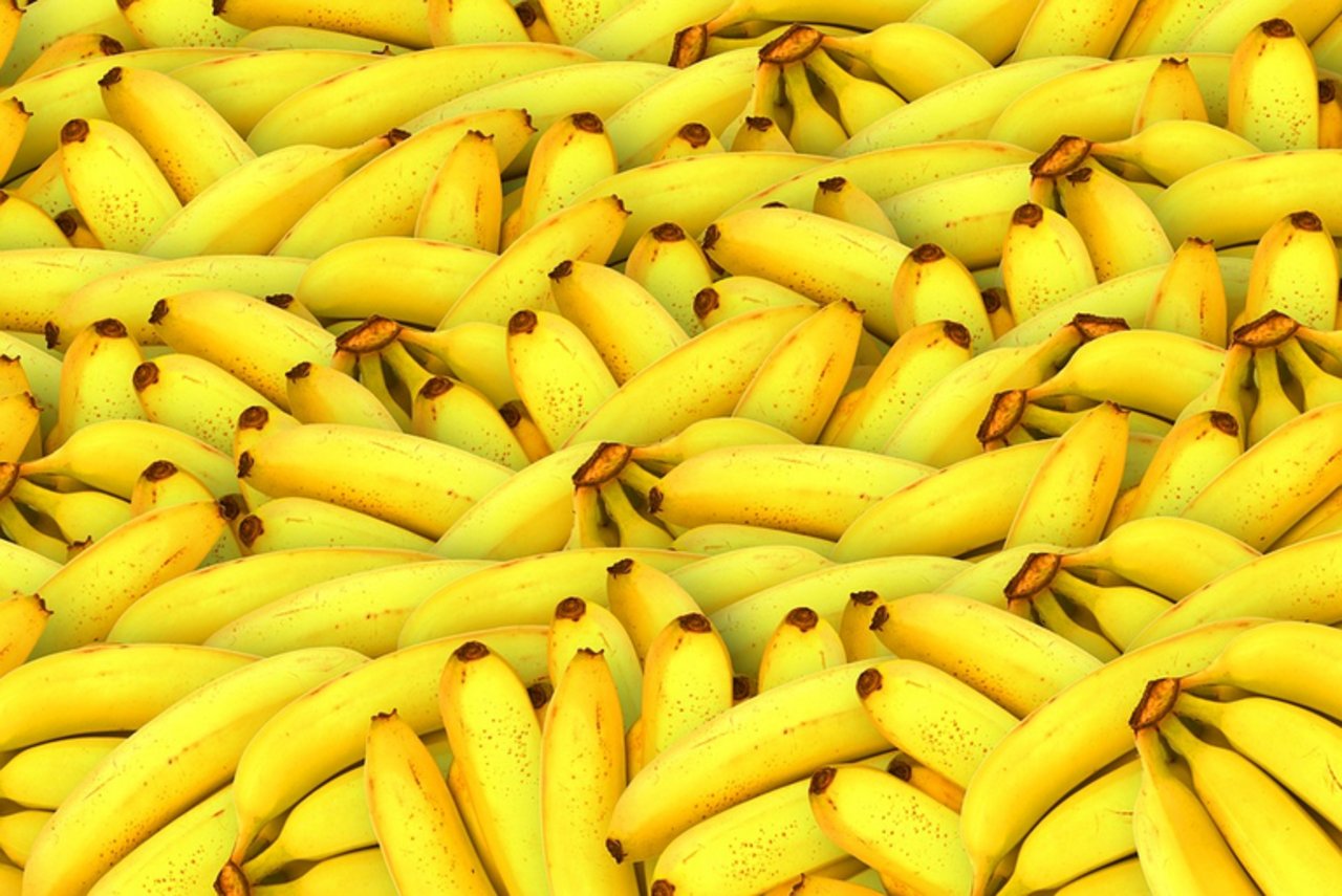 Aus den 1'500 Bananensorten in der Sammlung von Bioversity International sollen neue, resistente Sorten gefunden werden. (pixabay)