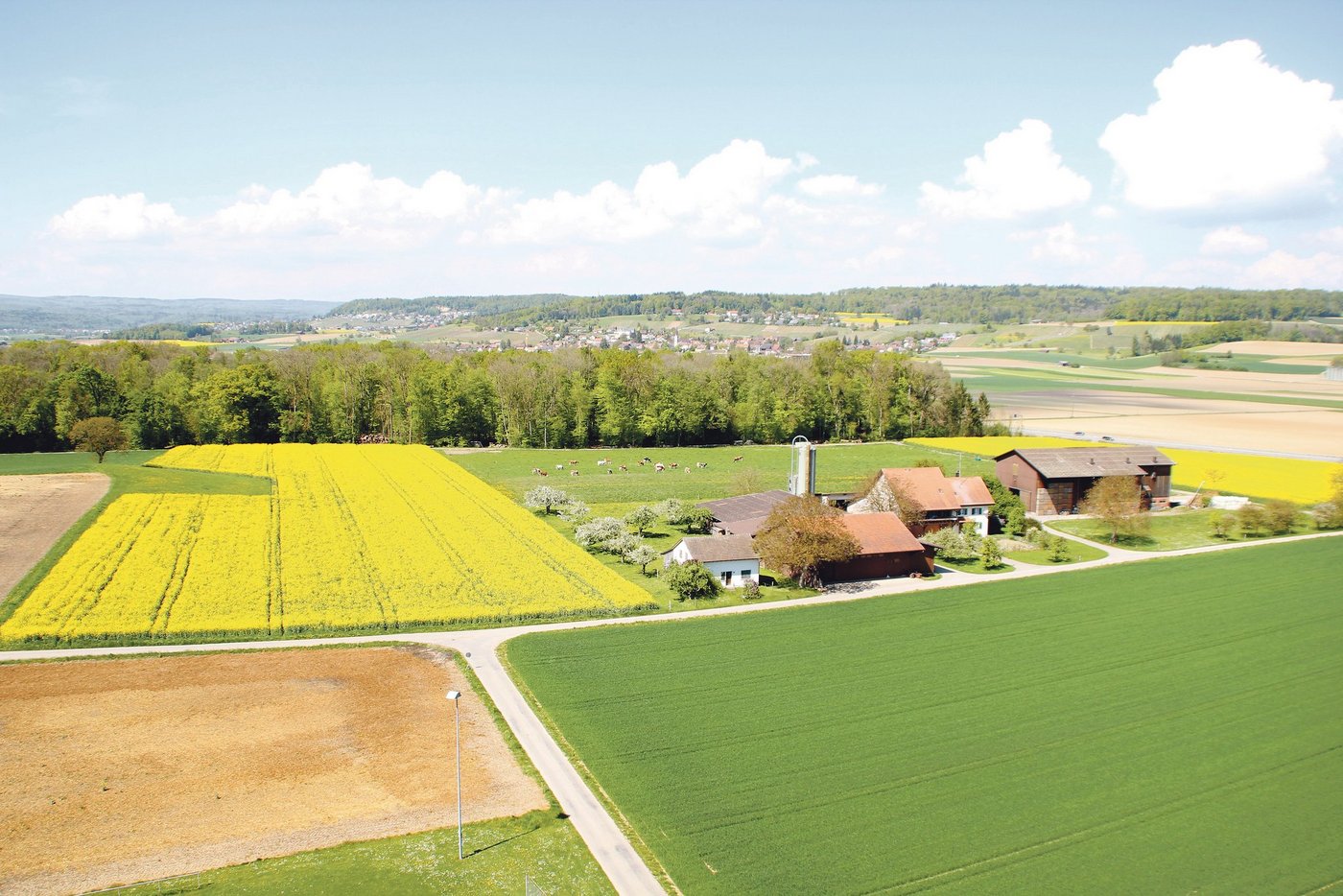 In diesem Gebiet im Norden des Zürcher Weinlands werden kommenden Winter die seismischen Messungen der Nagra durchgeführt. (Bild Roland Müller)