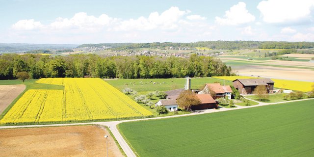 In diesem Gebiet im Norden des Zürcher Weinlands werden kommenden Winter die seismischen Messungen der Nagra durchgeführt. (Bild Roland Müller)