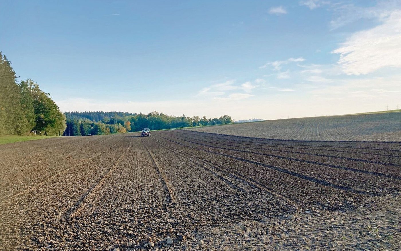 Das weite Zeitfenster bot ideale Bedingungen für die Bodenbearbeitung. Nun folgt die Weizensaat. Ein anschliessendes Anwalzen fördert den Bodenschluss und ein gleichmässiges Auflaufen der Kultur. 