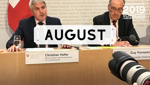 Bild Jahresrückblick: Monat August 2019 (Bild: BauZ)