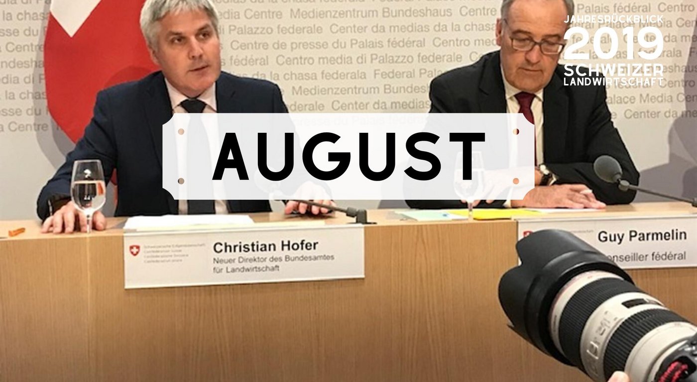 Bild Jahresrückblick: Monat August 2019 (Bild: BauZ)