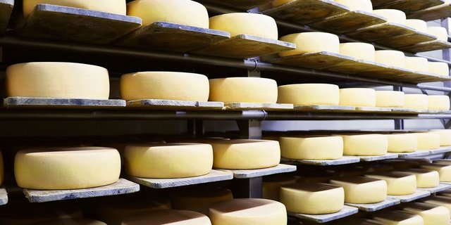 Der Käse sei im Hoch, stellte ZSKM-Präsident Josef Werder fest – es wurde viel produziert und gekauft.