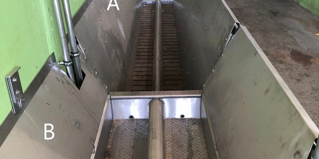 Vorgeschaltete Klauenwaschanlage mit Wasser (A) und anschliessendem Klauenbad (B). Die geschlossenen Seitenwände verringern den Flüssigkeitsverlust und verhindern, dass die Tiere ausweichen oder daneben treten. Der Gang neben dem Bad ermöglicht ein selektives Baden, damit Tiere mit aktiven «Erdbeeri» und Verbänden nicht durch das Bad müssen. Bild: Inforama Rütti