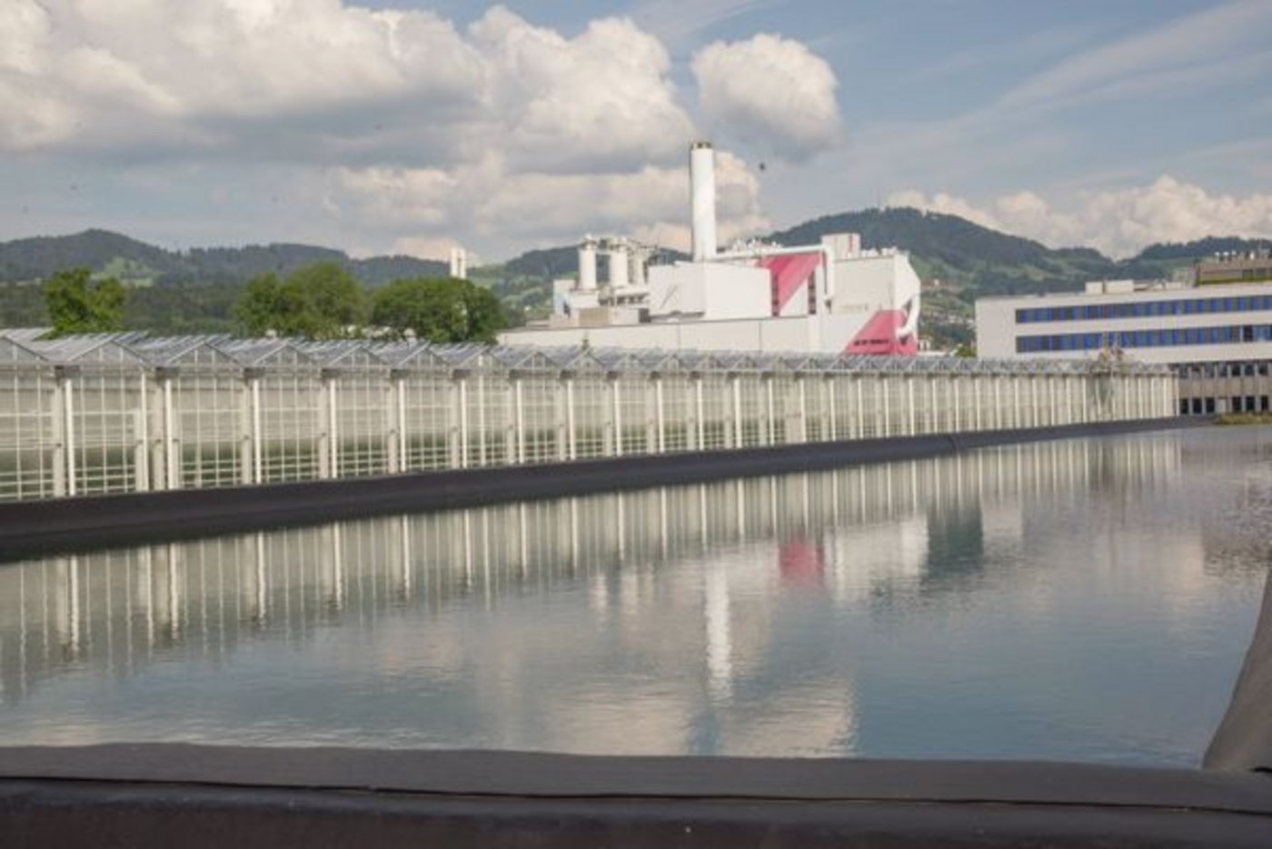 In diesem Gewächshaus in Hinwil wächst Gemüse mit sonst ungenutzter Abwärme der Kehrrichtverbrennungsanlage. (Bilder David Eppenberger)