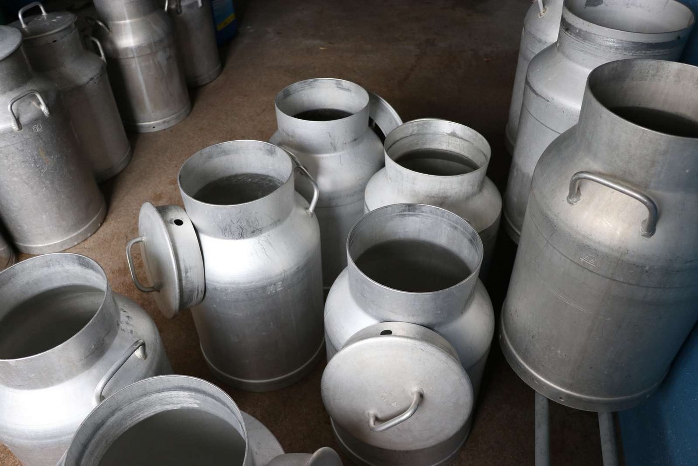 Viele Milchbetriebe in Österreich geben die Produktion auf. (Bild Ruth Aerni)