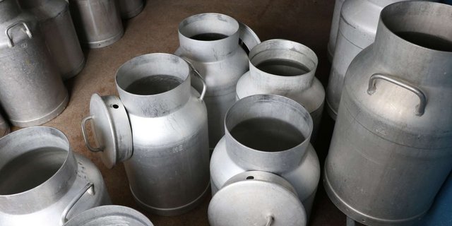 Viele Milchbetriebe in Österreich geben die Produktion auf. (Bild Ruth Aerni)