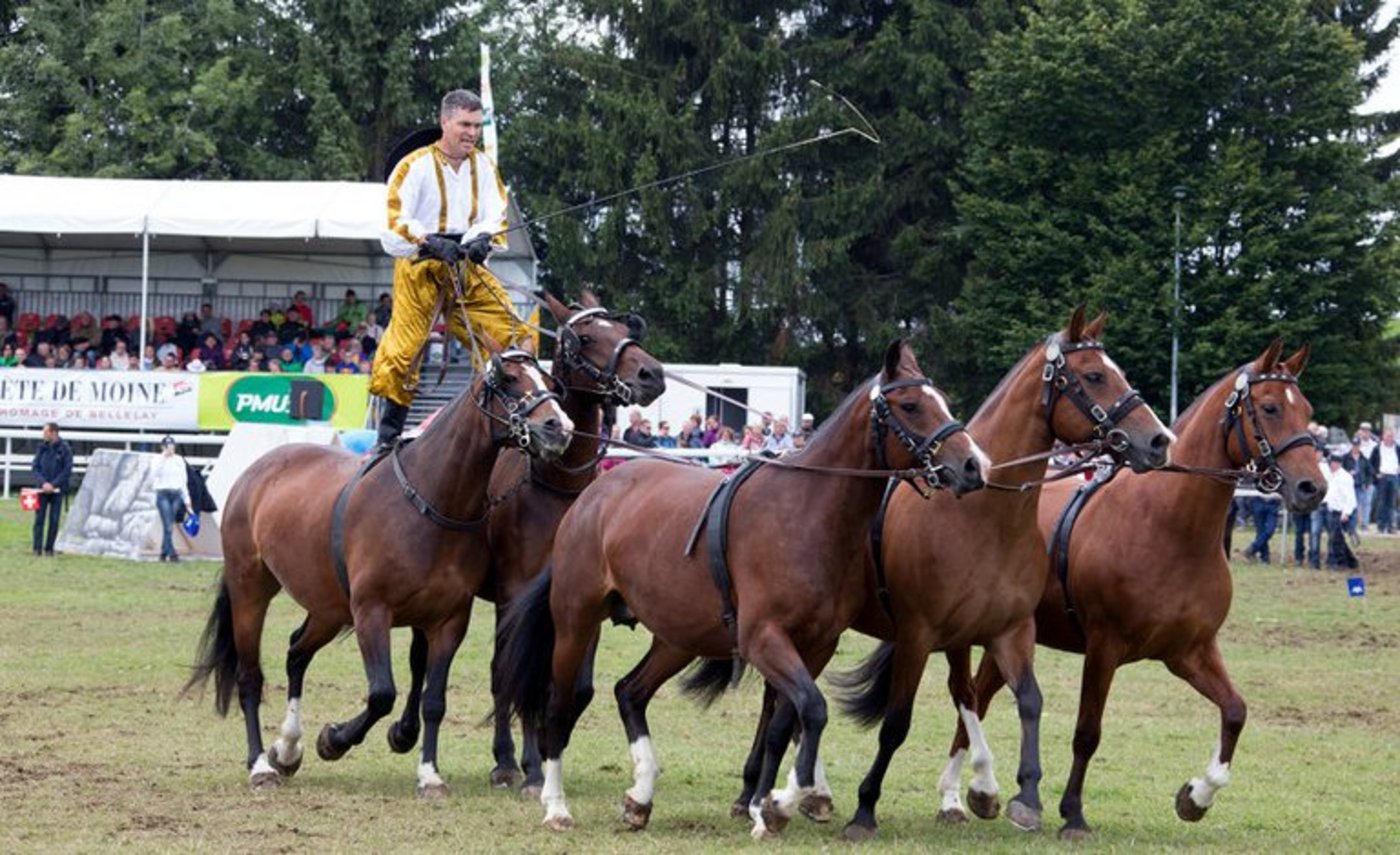 Eine Impression vom Marché-Concours aus dem Jahr 2017. (Bild marché-concours)