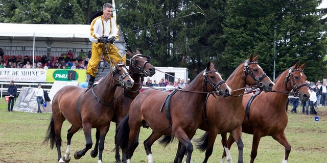 Eine Impression vom Marché-Concours aus dem Jahr 2017. (Bild marché-concours)
