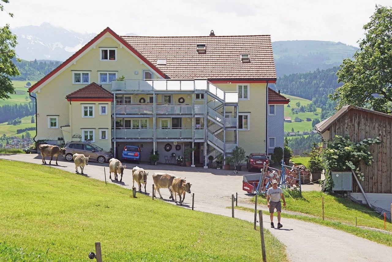 Die Kühe kehren in den Stall zurück. Das Wohnhaus der Aemisegg liegt idyllisch und bietet genügend Platz für Familie Knaus, die Wohngemeinschaft und Feriengäste.