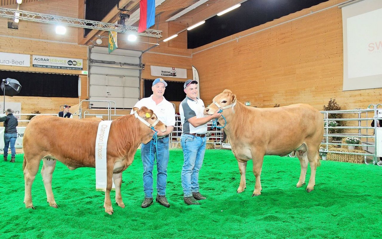 Franz (links) und Elia Burri präsentieren die Champion der Rasse Limousin, Burri’s Colett.