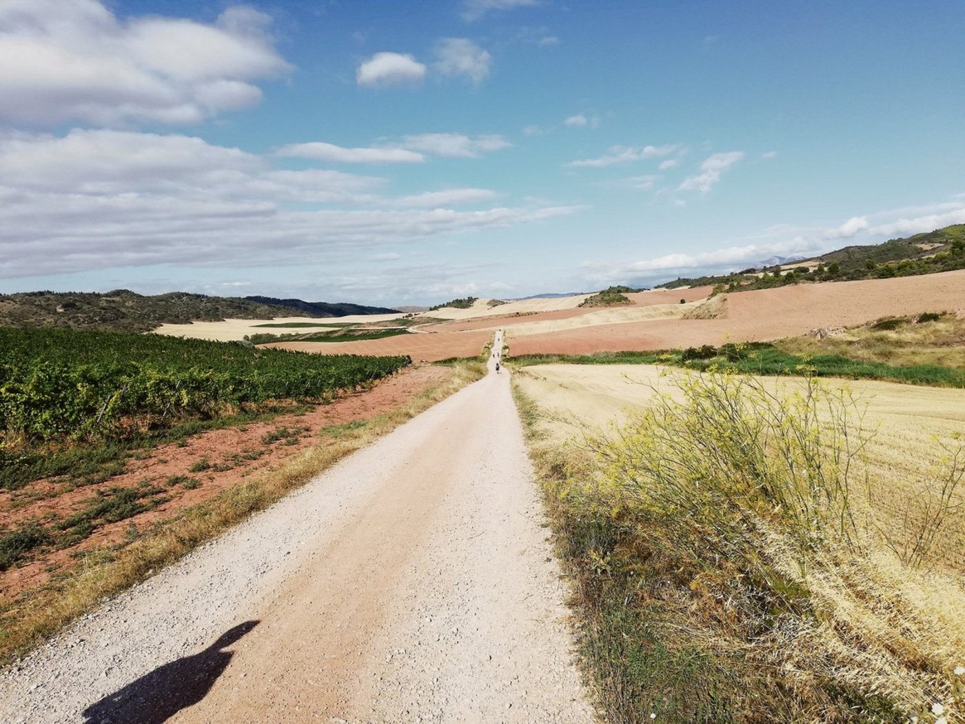 Allein mit seinem Schatten auf der Pilgerreise, aber nicht einsam. Vor ihm marschieren in Abständen andere Wallfahrer. (Bilder Thomas Wagner)