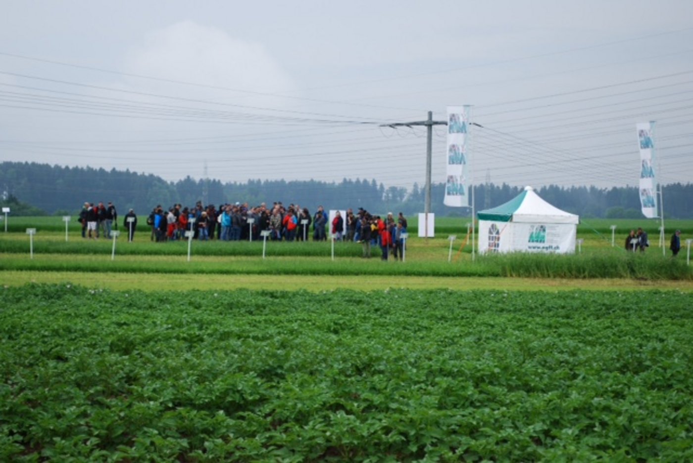Rund tausend Interessierte finden den Weg zum  Bioackerbautag im zürcherischen Brütten.