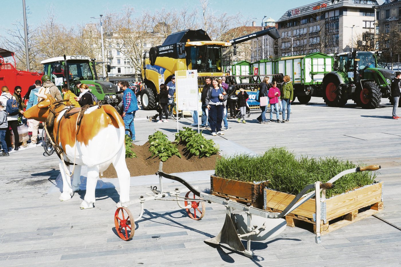 Landwirtschaft gestern und heute auf dem Zürcher Sechseläutenplatz: Blick zurück in eine Zeit, als noch Zugtiere vor den Pflug gespannt wurden (vorne). Hinten: Erntemaschinen der modernsten Generation.(Bilder Christian Weber)