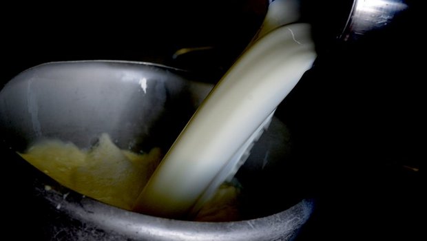 Fast zwei Millionen Tonnen Milch wurden im ersten Semester des aktuellen Jahres produziert. (Bild Hansjürg Jäger)
