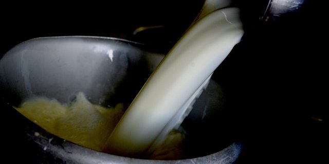 Fast zwei Millionen Tonnen Milch wurden im ersten Semester des aktuellen Jahres produziert. (Bild Hansjürg Jäger)