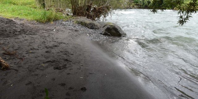 Das Pony ist von einer Sandbank im Bereich der Fadenbrücke in den Fluss gesprungen. (Bild Kapo NW)