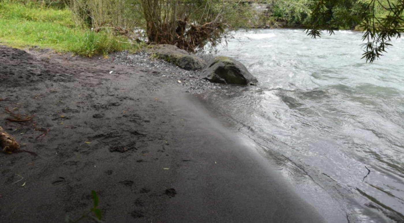 Das Pony ist von einer Sandbank im Bereich der Fadenbrücke in den Fluss gesprungen. (Bild Kapo NW)