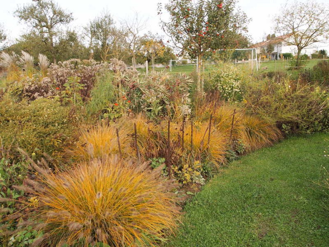 2. Herbstaspekt mit dem Lampenputzergras, einem niedrigen Gras.