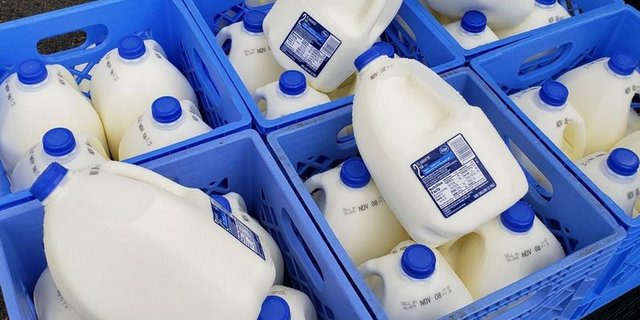 Kroger unterstützt Feeding America. (Bild Kroger)