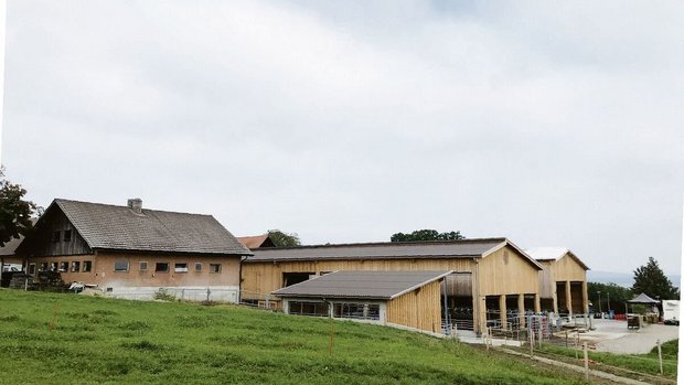 Beim Landwirtschafts Beim Landwirtschaftsbetrieb des Arenenbergs wurden bei den Kontrollen durch Bio Suisse keine Mängel festgestellt.