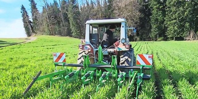 Stefan Rohrbach hat selbst einen Dammpflug entwickelt und gebaut. Das Dämmeziehen, die Saat und die Pflegearbeiten erfolgen mit dem gleichen Gerät.