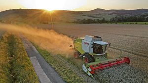 Ein Drescher wirbelt bei der Ernte Staub auf: Als weitere Unterform der exogenen allergischen Alveolitis kennt man auch die «Drescherlunge», die durch Getreidestaub hervorgerufen wird. 