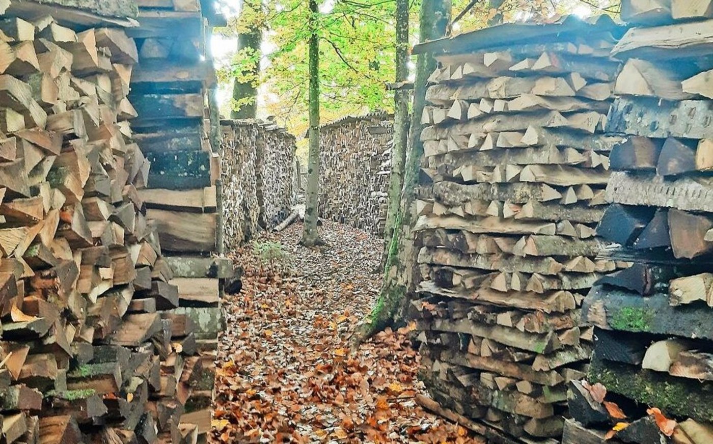 Der Bereich Energieholz hat im Kanton Bern Zukunft, darüber sind sich diverse Fachleute einig. Mit Holz gespeiste Wärmeverbunde leisteten zudem einen Beitrag dazu, weg von fossilen Brennstoffen zu kommen und so dem vom Bund gesteckten Ziel Nettonull näher zu kommen. 