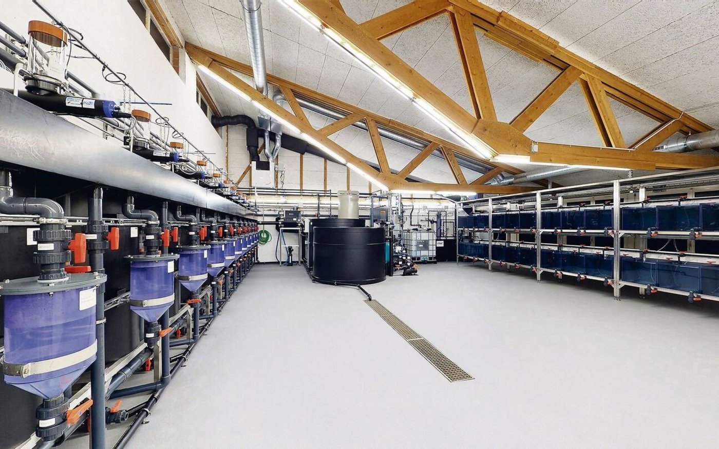 Hier kann zu Fischgesundheit, Fütterung und vielem mehr geforscht werden: Die moderne Kreislaufanlage des Aquaforums. 