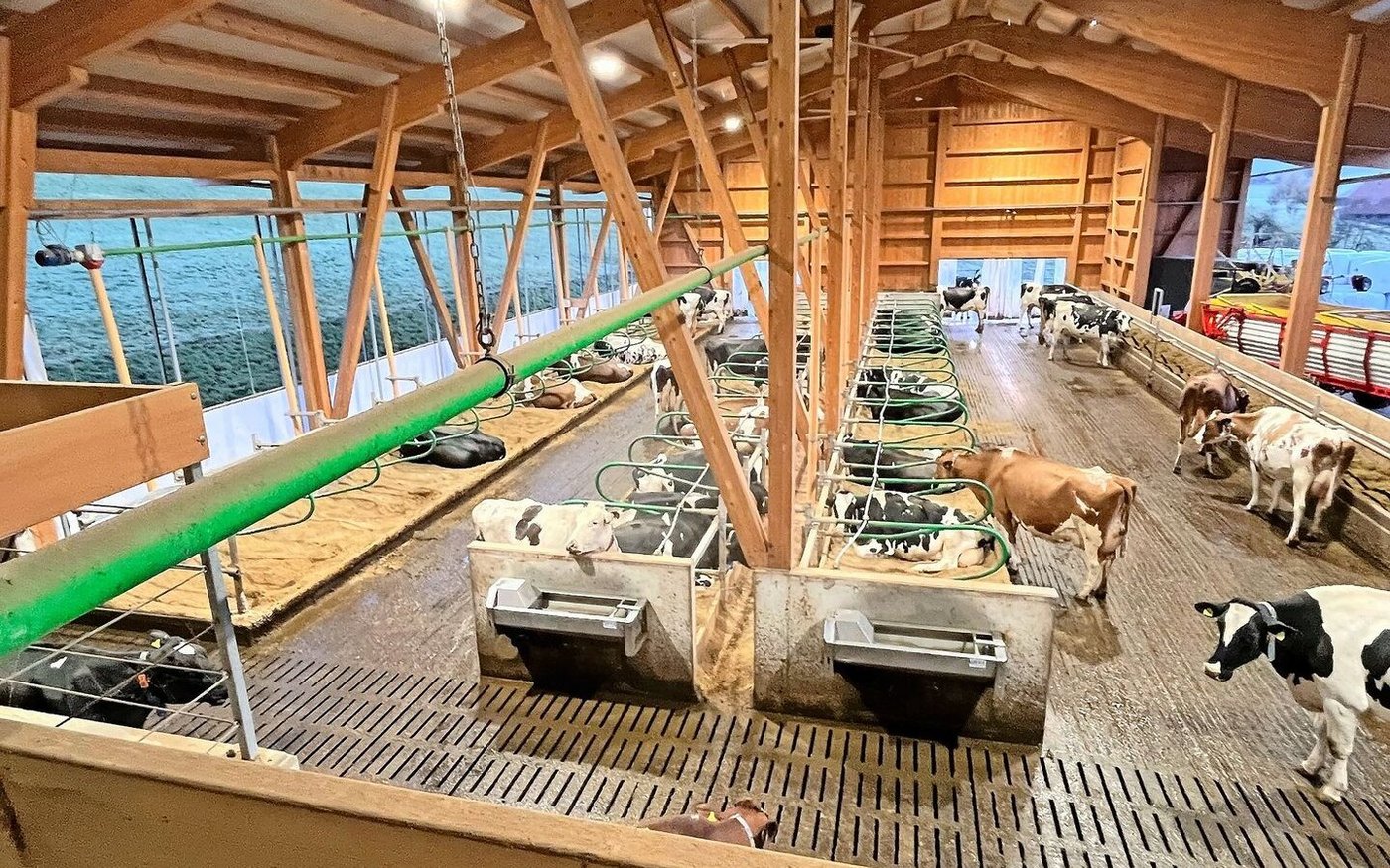 Ein Blick in den neuen Stall der Familie Baumann in Arni. Bei der Planung nahm sich Marco Baumann genügend Zeit, um die Arbeitsabläufe möglichst effizient zu gestalten.   