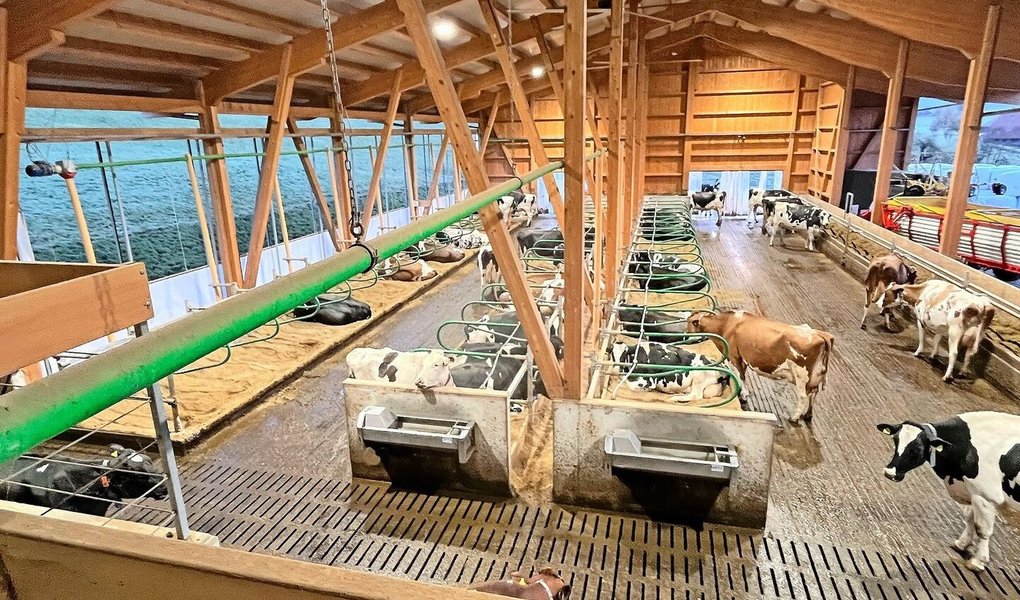 Ein Blick in den neuen Stall der Familie Baumann in Arni. Bei der Planung nahm sich Marco Baumann genügend Zeit, um die Arbeitsabläufe möglichst effizient zu gestalten.   