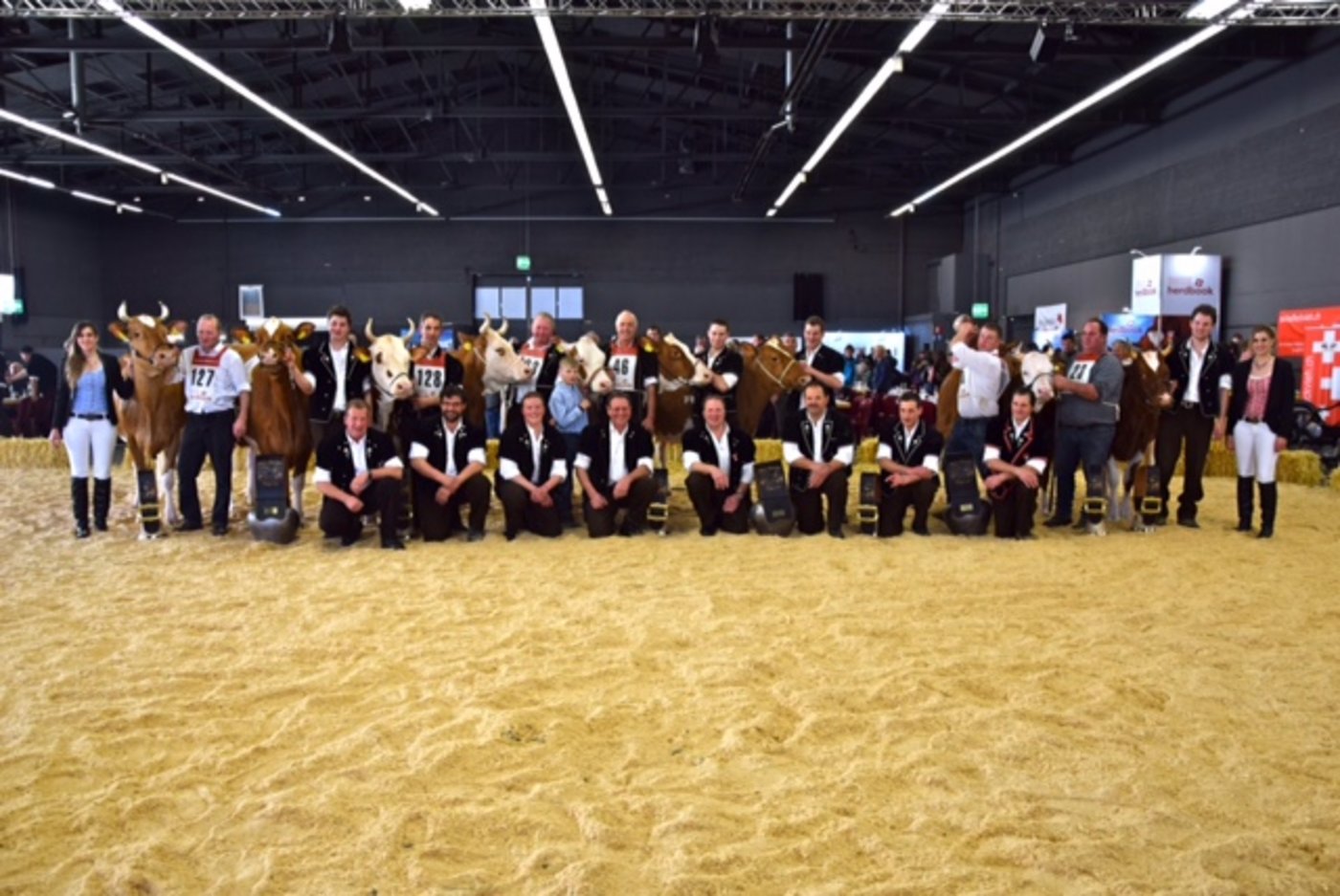 Das Schlussbild mit den Siegerkühen. 