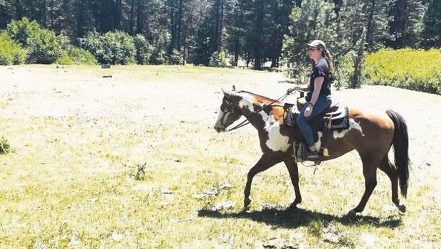 Stefanie Habegger em Stefanie Habegger empfand es als enorm erfüllend, das Pferd nicht nur in der Freizeit zu nutzen, sondern auch mit ihm zu arbeiten.