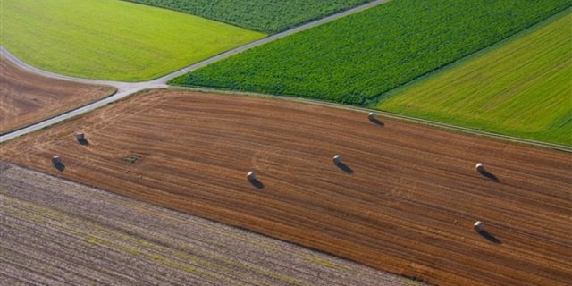 Die Analyse der Expertengruppe ergibt, dass der Sachplan FFF grundsätzlich ein wirkungsvolles Instrument sei, um wertvolles Kulturland zu erhalten. (Symbolbild Marielle Gubelmann/landwirtschaft.ch) 