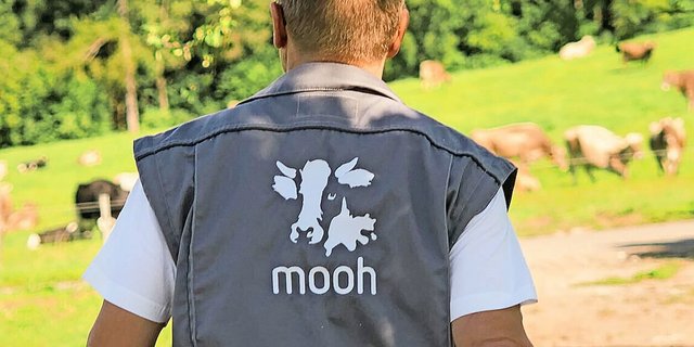 Bei der Milchgenossenschaft Mooh haben nach wie vor die Produzenten das Sagen – nun lernen sie, sich im Exportmarkt zu bewegen.