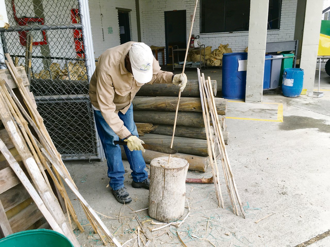 Mit faszinierender Geduld schnitt Plinio jeden einzelnen Holzstecken von Hand zu. Was nicht alles für die Bohnen getan wird. (Bilder lko)