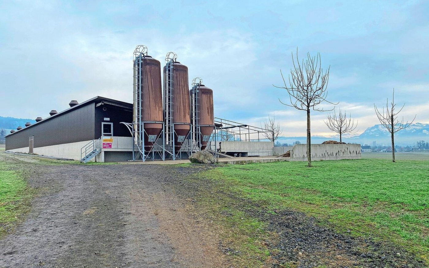 Der Hof Eiholz liegt am Dorfrand von Grosswangen. Im neuen Schweinestall, der vor acht Jahren erbaut wurde, haben die 450 Mastschweine ausreichend Platz.  