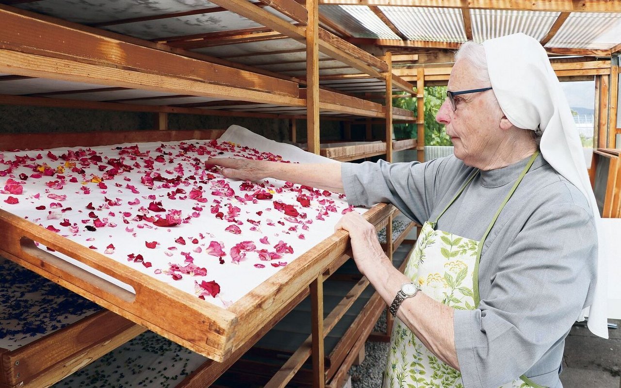 Rosenblütenmeer: Nach der Ernte kommen die Kräuter und Blumen ins Trockenkämmerlein. 