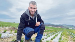 Dank einer Kompostga Dank einer Kompostgabe ist der Schnittlauch drei Jahre lang mit Phosphor versorgt. Stefan Eichholzer sieht den Dünger auch als Bodenverbesserer.