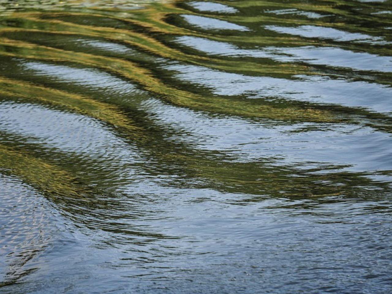 Die Anwendungsvorschriften für Pflanzenschutzmittel basieren auf anderen Grenzwerten, als bei Gewässerschutz verwendet werden. (Bild Pixabay)