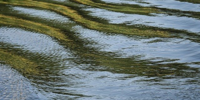 Die Anwendungsvorschriften für Pflanzenschutzmittel basieren auf anderen Grenzwerten, als bei Gewässerschutz verwendet werden. (Bild Pixabay)