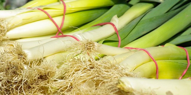 Vom Lauch kann man sowohl den weissen Teil als auch die grünen Blätter essen. In Läden kann man aber häufig nur die weissen Stangen kaufen, das Grün wurde zuvor weggerüstet – ein Präferenzverlust. (Bild Pixabay)