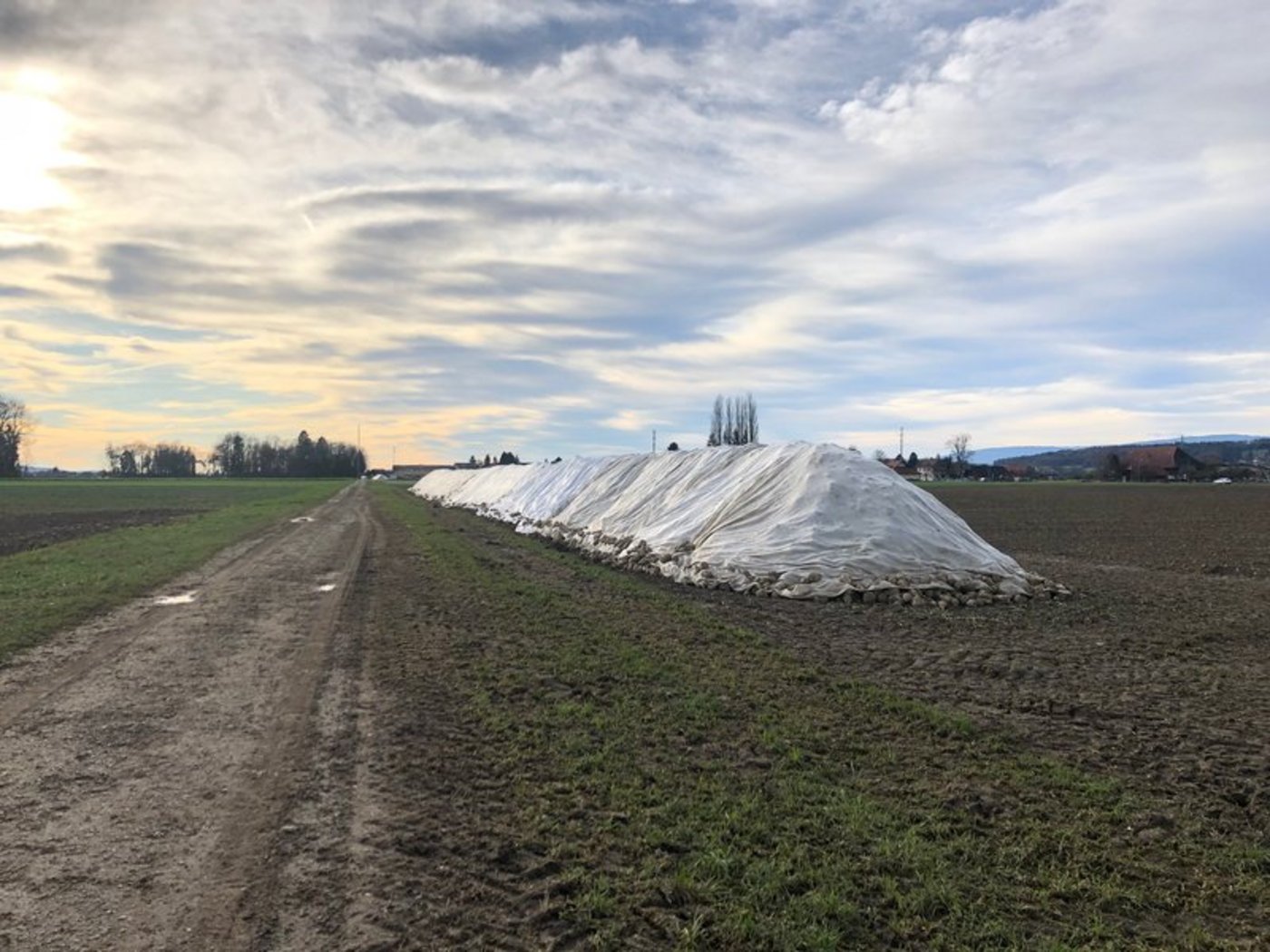 Von einer kurzzeitigen Brennerstörung in Frauenfeld abgesehen, liefen beide Fabriken mit konstanter Leistung. (Bild BauZ)