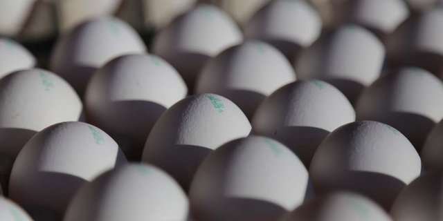 Die Pandemie hält die Nachfrage nach Eiern im Detailhandel und im Direktverkauf ungewöhnlich hoch. (Bild lid/ji)