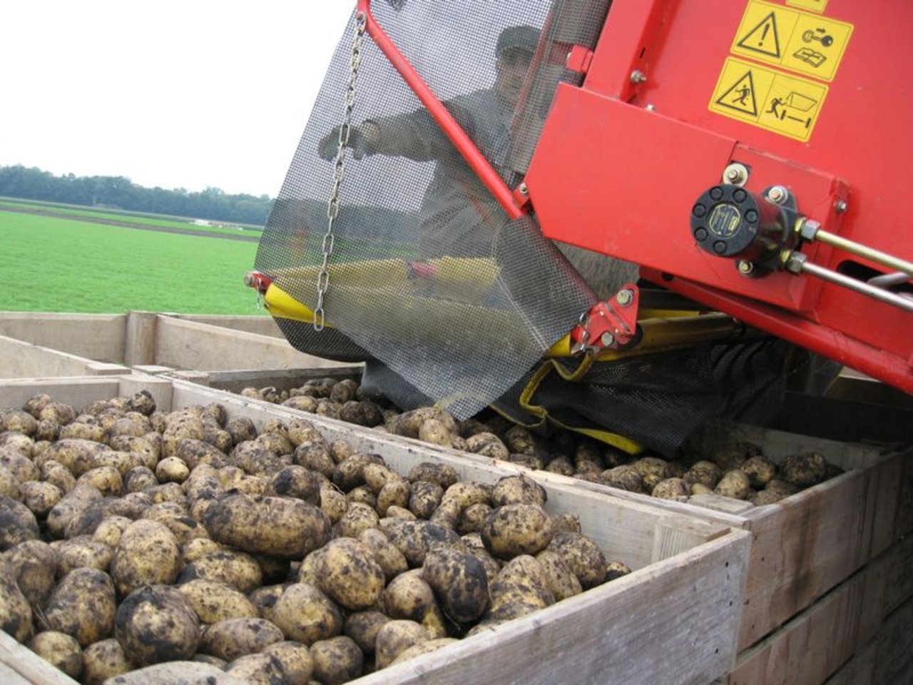 Im ersten Quartal wurden vergleichsweise viele Kartoffeln importiert. (Bild BauZ)