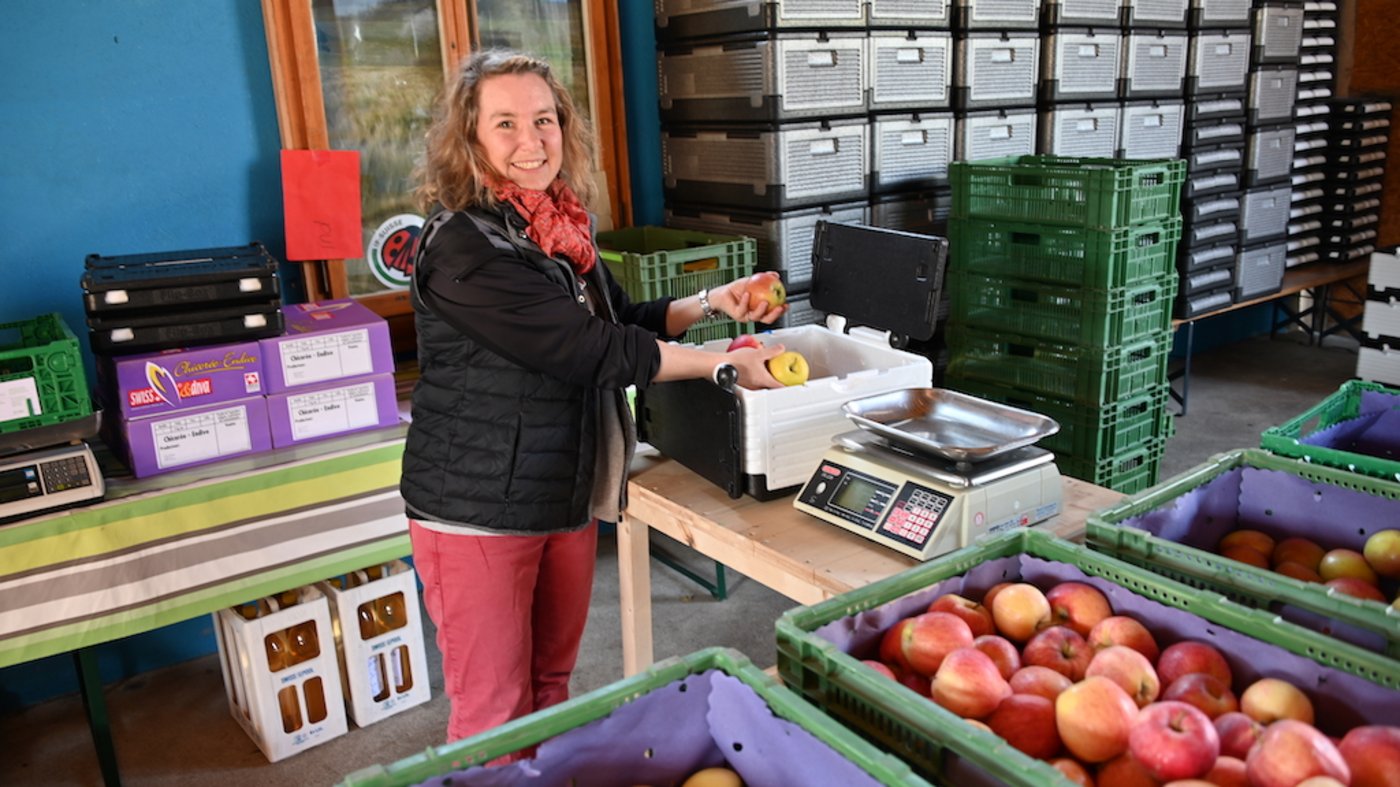 Einmal pro Woche werden die Bestellungen in Boxen abgepackt und ausgeliefert. Durch die Pandemie sind die Bestellungen angestiegen. 