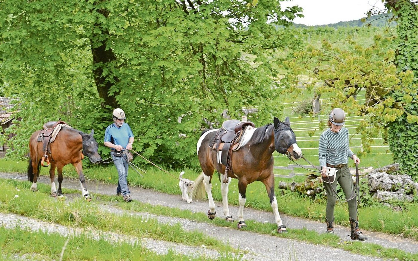 Die Landwirtin ist für den Betriebszweig «Pensionspferde» verantwortlich. 