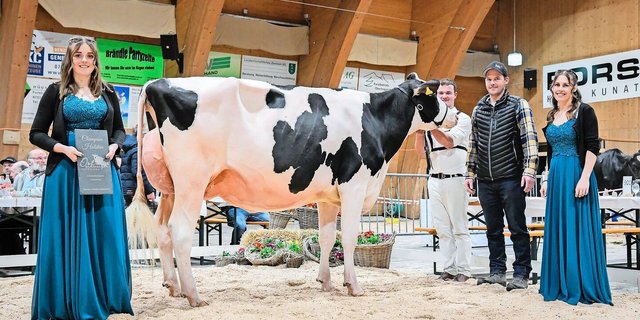 La Chapell Hotline Ibiza von Stefan Waser aus Wädenswil wurde Senior Champion bei den Holstein. Richter Christian Schuwey beschrieb sie als «Fehlerlose komplette Kuh mit enormer Kapazität». 