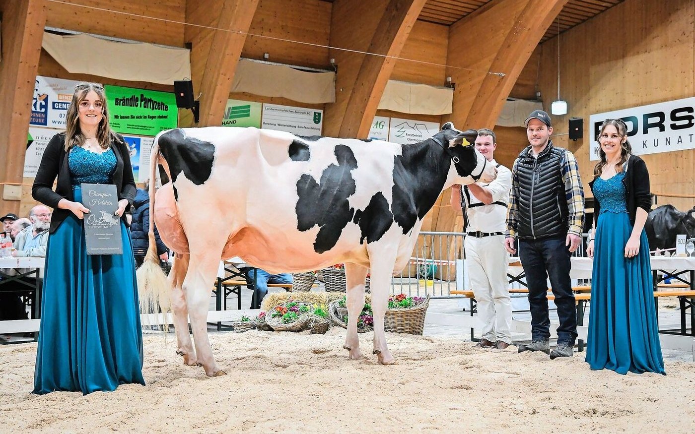 La Chapell Hotline Ibiza von Stefan Waser aus Wädenswil wurde Senior Champion bei den Holstein. Richter Christian Schuwey beschrieb sie als «Fehlerlose komplette Kuh mit enormer Kapazität». 