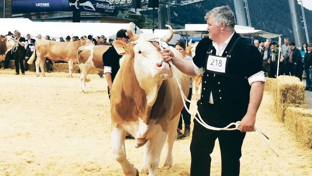 Mittags brachten die Züchter ihre Natursprungstiere in den Ring und zeigten eindrücklich, mit welcher Leidenschaft in der Region die Viehzucht gepflegt wird.